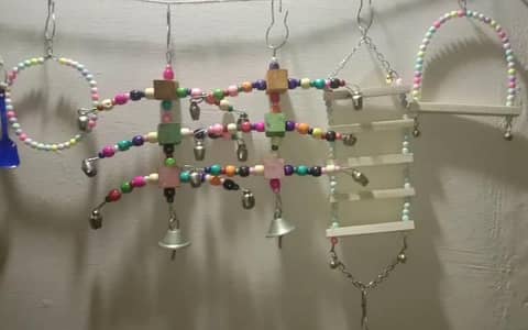 birds toy available in all parrot natural wood whatsapp 03130656798