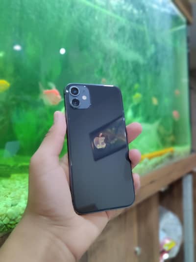 iphone 11 PTA Approved Physical+esim