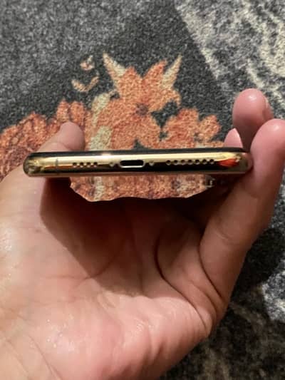 XsMax 256 Gb water pack