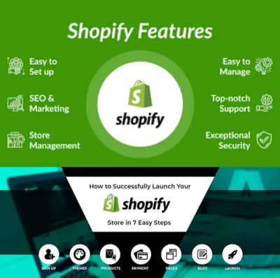 professional Shopify store design