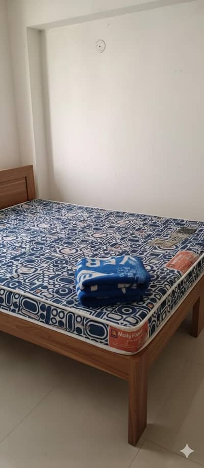 Master Molty Foam Queen Size