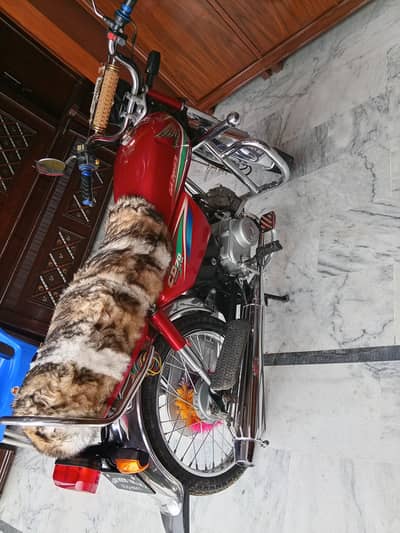 honda cd 70 2016 bilkul new condition