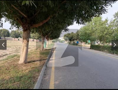 3 Marla Plot For Sale In New Lahore City Phase 3