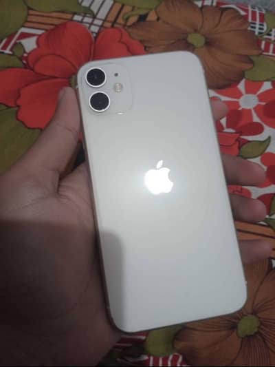 iPhone 11 PTA approved