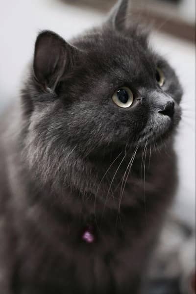 Best quality and Price