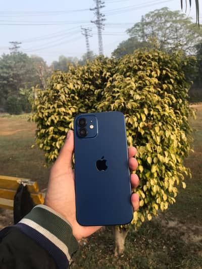 IPHONE 12 64 GB JV EXCHANGE POSSIBLE WITH IPHONE 11 pro pta