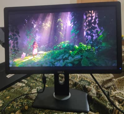 Dell LCD  ( 19" inch )