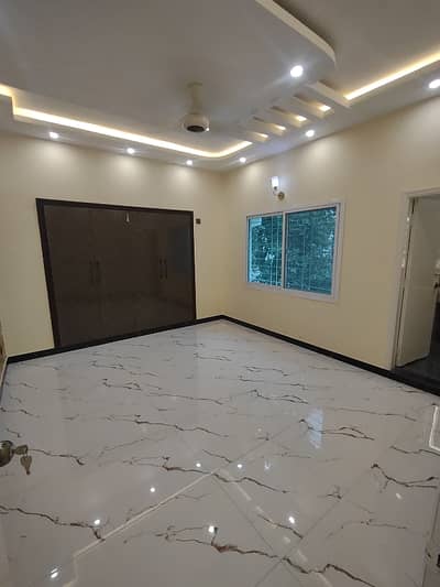 Beautiful New Portion