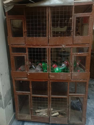Tower 6 portion wooden cage,Pinjra for aseel murgy,murgiyan,chicks