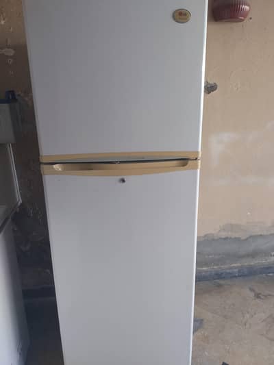 Fridge medium size
