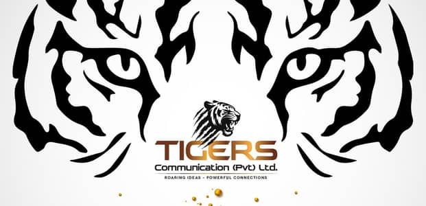 basic knowledge of graphic design.