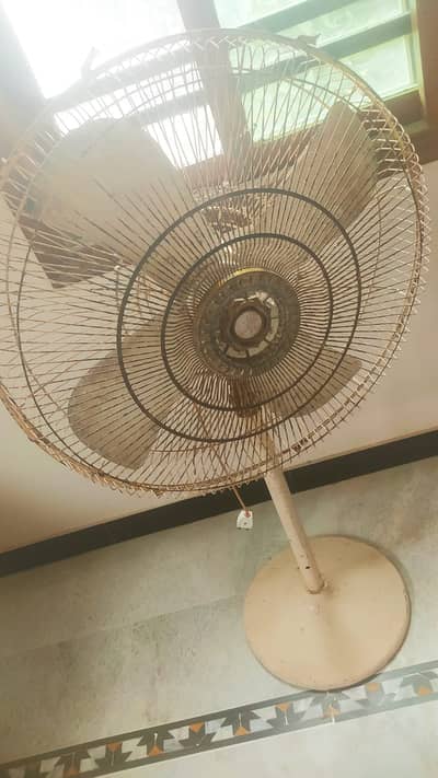 Royal Stand Fan for Sale