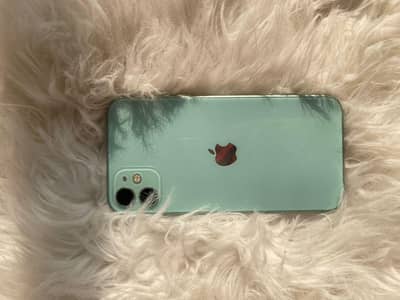 Iphone 11 Mint Green