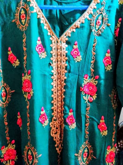 Chiffon Dhaga Embroidery