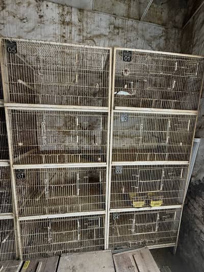 Outclass Cage For any birds Very strong wire