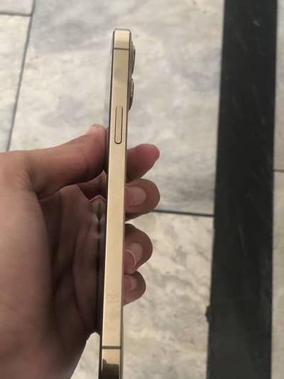 iphone 12 pro max bypass