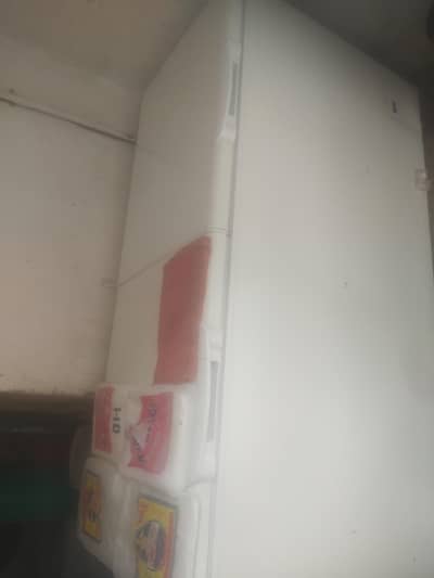 OK freezing jumbo size