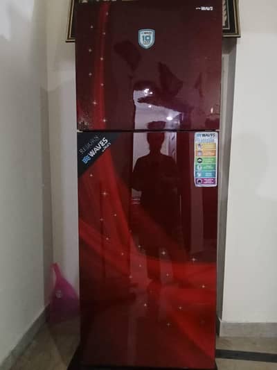 A good quality big size waves  glass door refrigerator for sale