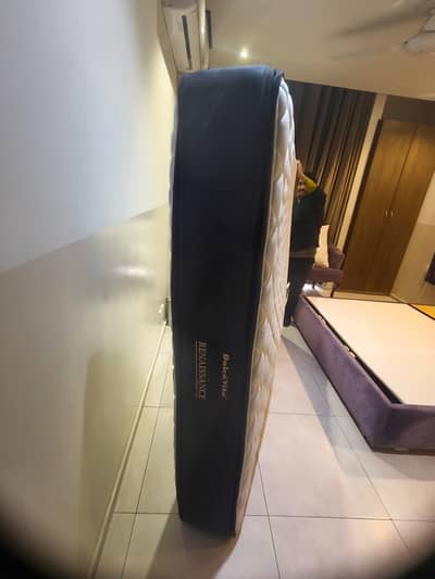 Dolve Vita Single Pocket Spring Mattress for Sale (16 Mattres)