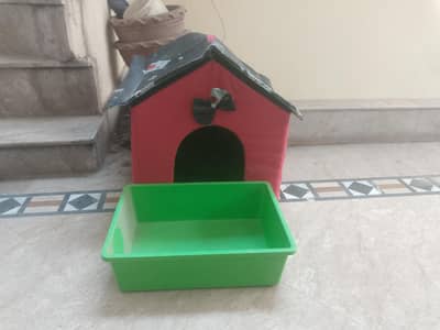 cat house and glitter box