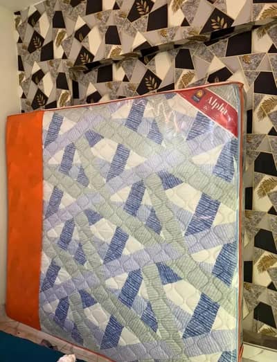 Master Molty Brand New sale