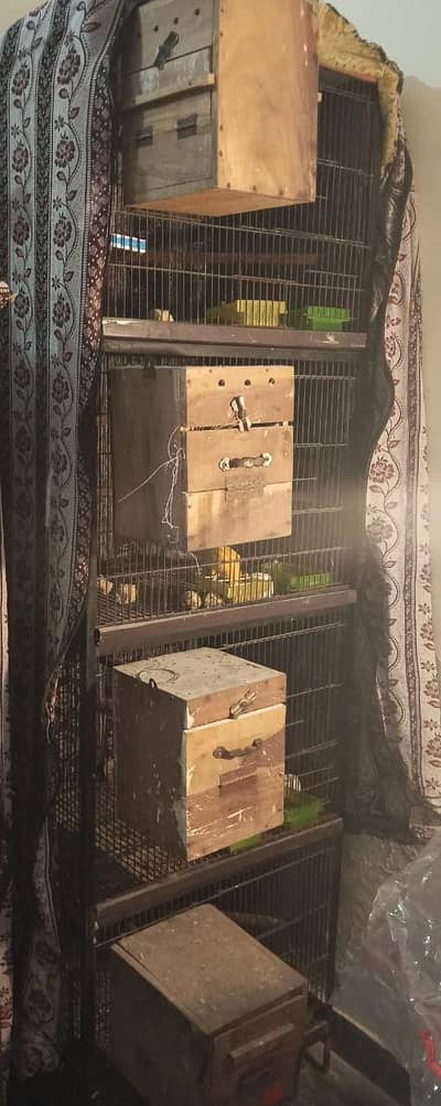 Cage boxs and Birds