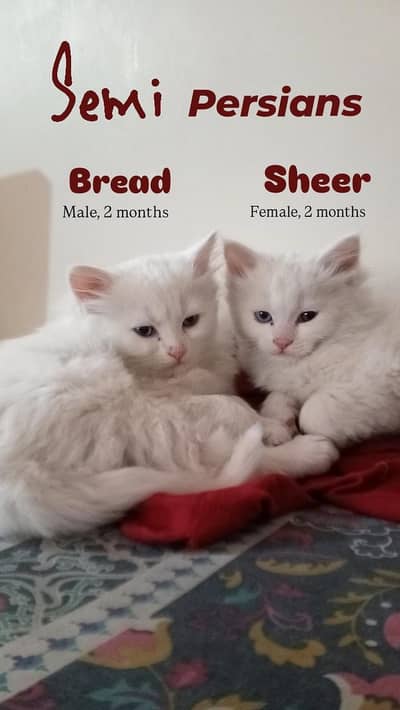 male-female pair with mother