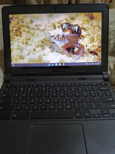 Dell Chromebook – 4GB RAM / 16GB Storage / 84% Battery