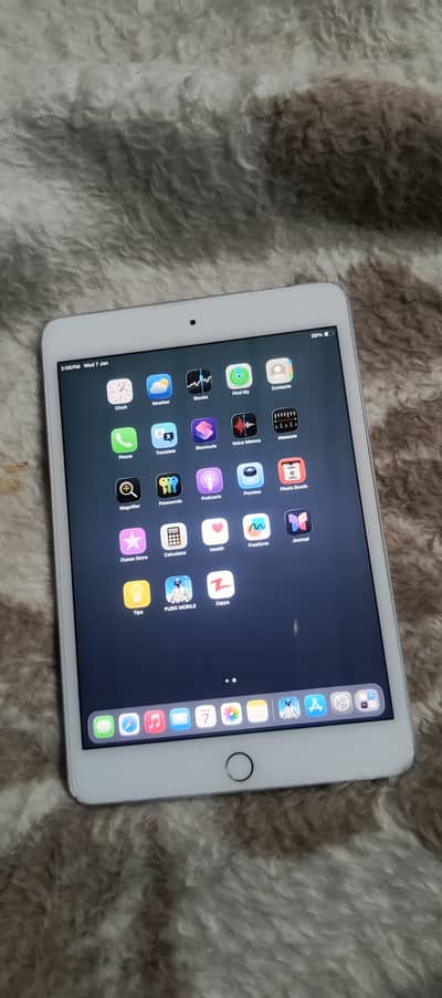 iPad Mini 5