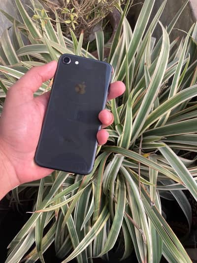 iphone 8 non pta factory unlocked