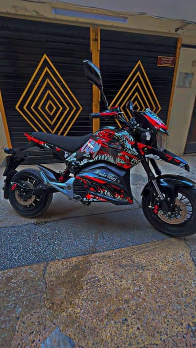 Thunder bird electric bike