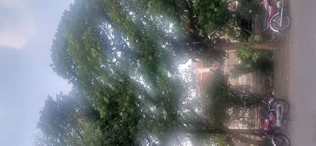 Ideally Located House Of 10 Marla Is Available For Sale In Allama Iqbal Town