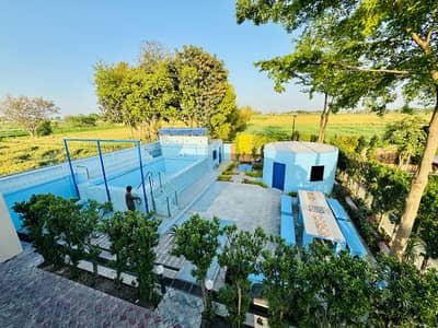 Farm House On Rent With Swimming Pool On Bedian Road Per Day