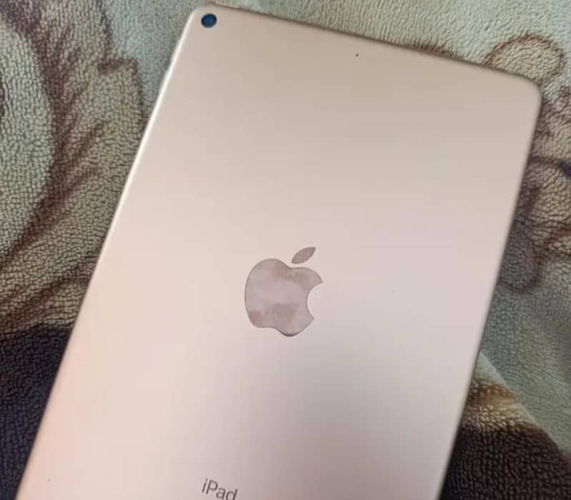 ipad mini 5 0