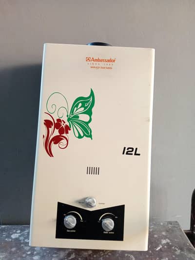 Instant geyser 12 litres