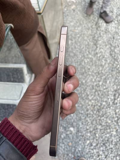 iPhone 16 pro max Factory unlocked dual physical 256gb