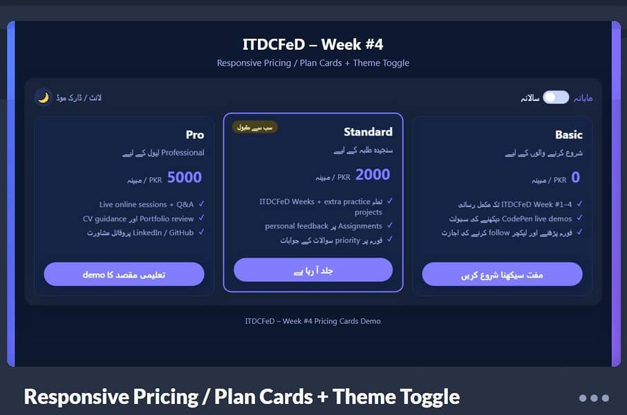 Professional Web Development Services – E-Commerce, Custom Web Apps 5