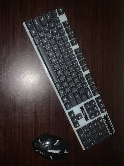 RGB Gaming Keyboard + RGB Gaming Mouse