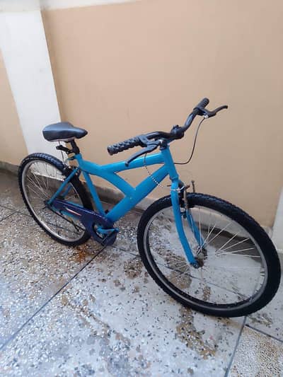 Blue Bicycle