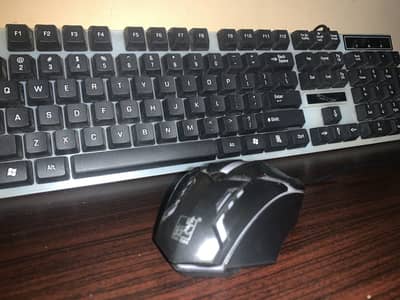 RGB Gaming Keyboard + RGB Gaming Mouse