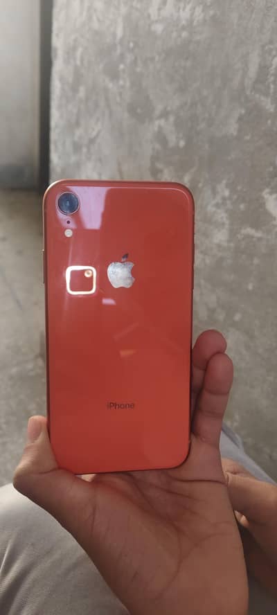 iphone XR 256 gb 10/10 condition urgent need money