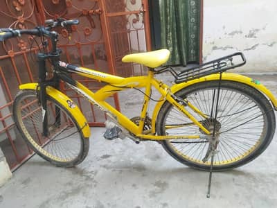 Bicycle for Adults & Kids