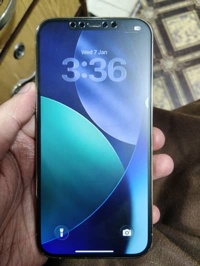 Apple iphone 12 Pro Max