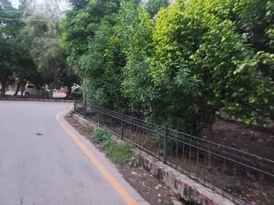 Hot Location 4 Kanal Corner Plot Available For Sale In Muslim Town