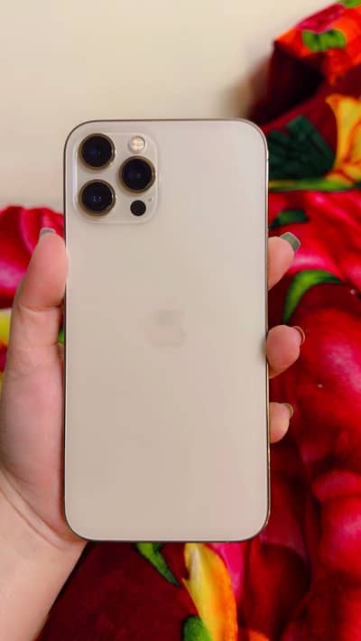 12 pro max pta approved