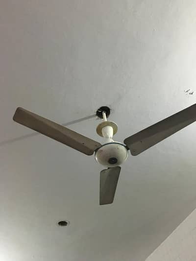 Big size  fan in low price