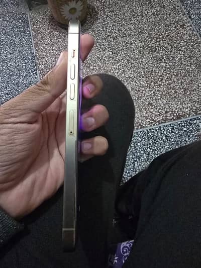 13 Pro max 256 Gb Dual pta