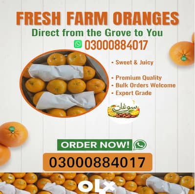 Orange / Kinnow / fresh Oranges / buy Sargodha Kinno /orange online