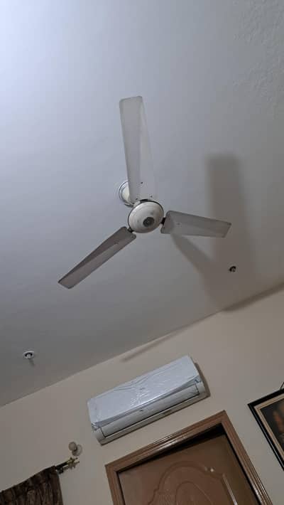 ceiling fan