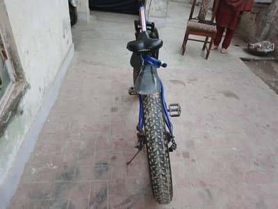 Caspian 900 fat bicycle cycle